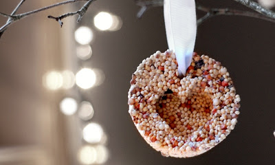 seed-ornament-1